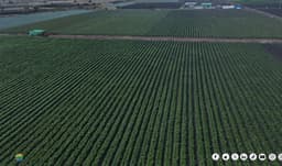 ለወጣቶች የሥራ ዕድል የፈጠረው የግብርና ኢንተርፕራይዝ