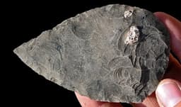 የኢትዮጵያን የሰው ዘር መገኛነት ያረጋገጡት ግኝቶች