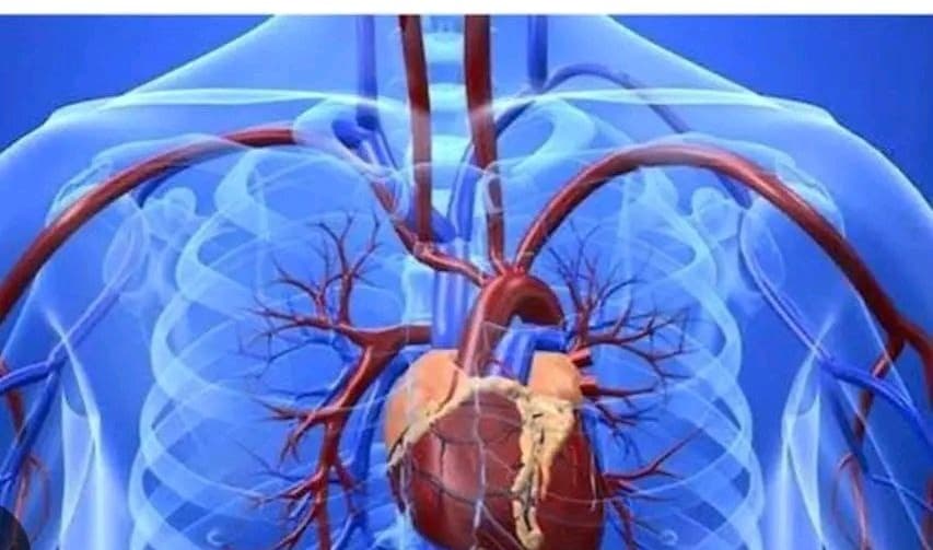 የልብ ድካም በሽታ መንስዔዎቹና መከላከያዎቹ