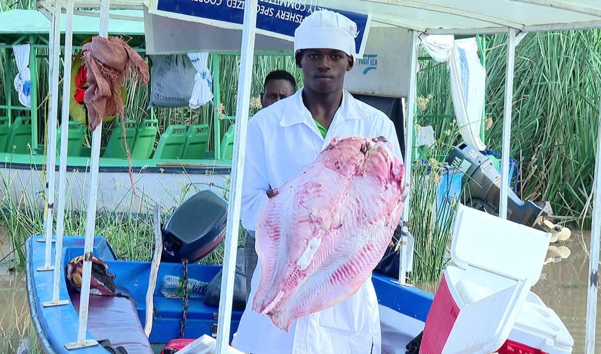 የእንስሳትና ዓሳ ዘርፍ ልማት ፕሮጀክት ስኬታማ እየሆነ መጥቷል