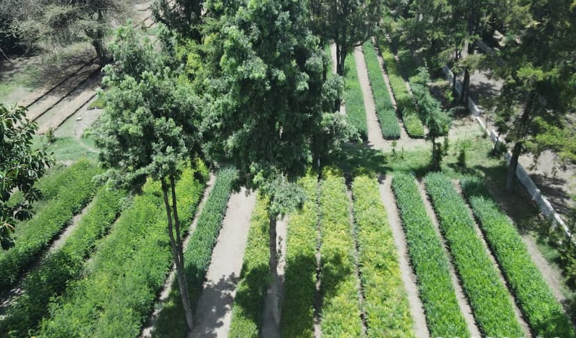 ለወጣቶች ሥራ የፈጠረው ማዕከል