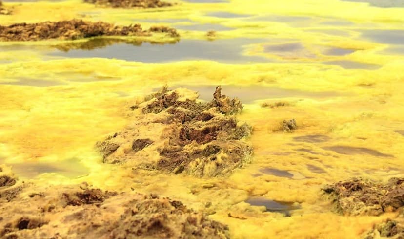 ከወርቅ እስከ ሊቲየም