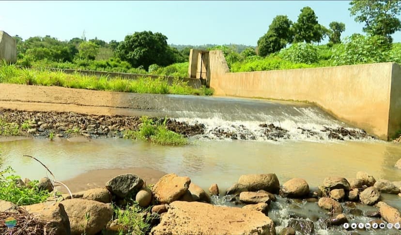 የግብርናውን ሽግግር ለማፋጠን የተዘረጋው መርሐ ግብር